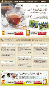 山田養蜂場｜土佐一とアカシア蜂蜜を使用「しょうがはちみつ漬」_1254793252763｜ランディングページ
